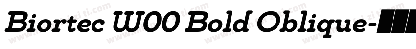 Biortec W00 Bold Oblique字体转换